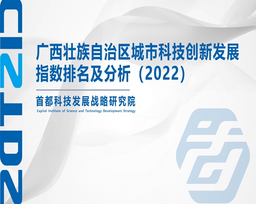 操Bxx网站在线播放【成果发布】广西壮族自治区城市科技创新发展指数排名及分析（2022）